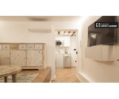 Apartamento bien equipado de 1 dormitorio en alquiler en diversos Lavapiés
