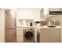 Apartamento bien equipado de 1 dormitorio en alquiler en diversos Lavapiés