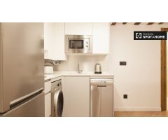 Apartamento bien equipado de 1 dormitorio en alquiler en diversos Lavapiés