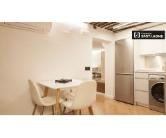 Apartamento bien equipado de 1 dormitorio en alquiler en diversos Lavapiés