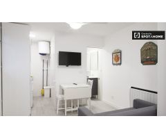 Estudio en alquiler en Lavapiés