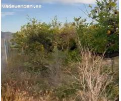 terreno rústico de nueva construcción en venta 