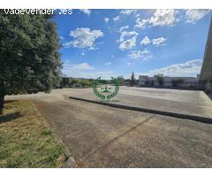 ALQUILER DE NAVE 3.650 M2 JUNTO A COLMENAR VIEJO-SAN AGUSTIN DE GUADALIX