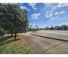 ALQUILER DE NAVE 3.650 M2 JUNTO A COLMENAR VIEJO-SAN AGUSTIN DE GUADALIX