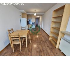 APARTAMENTO EN ALQUILER EN PEDREZUELA. ASCENSOR