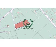 SE  VENDE SUELO URBANO EN ILLANA (GUADALAJARA)