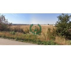 EN VENTA TERRO URBANO EN ALOVERA