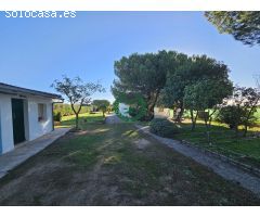 CHALET INDEPENDIENTE, PARCELA 3.000 M2 EN PEDREZUELA !