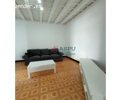TEMPORADA ESCOLAR EN LA VIÑA !!!!