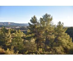 Finca rustica en Venta en Rebolledo, Teruel