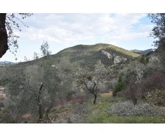 Almacén en Peñarroya de Tastavins