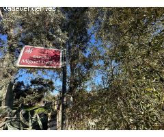 AMPLIA PARCELA EN VENTA EN ZONA BRILLANTE-SANSUEÑA, CORDOBA