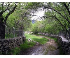 FINCA RÚSTICA EN CASTILBLANCO DE LOS ARROYOS