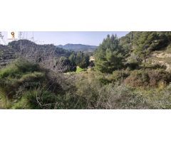 PARCELA DE 14.000 M2 APROX. EN PARTIDA LLENES (BENISSA)