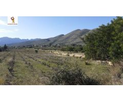 PARCELA 12.000 m2 EN VENTA EN BENISSA