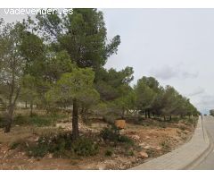 TERRENO EN VENTA EN LA COAGULLADA