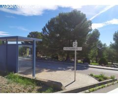 TERRENO EN VENTA EN LA COAGULLADA