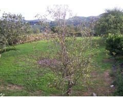 Chalet Independiente en Venta en Bárcena de Cicero, Cantabria