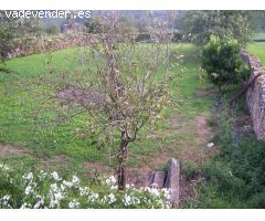 Chalet Independiente en Venta en Bárcena de Cicero, Cantabria