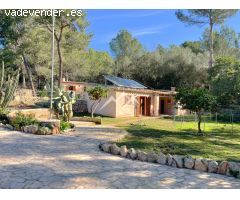 Finca rústica de carácter mallorquín y vistas a la Tramontana en Calviá