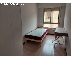 Se alquilan habitaciones por separado.