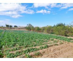 parcela de 2196 m2 con casa en ruinas vereda de Tabala