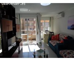 GRAN ESTUDIO EN TORREVIEJA, 1 BAÑO