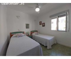 GRAN APARTAMENTO EN TORREVIEJA, 1 HAB,  1BAÑO