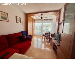 GRAN ESTUDIO EN TORREVIEJA, 1 BAÑO