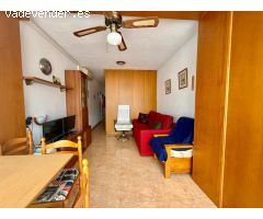 GRAN ESTUDIO EN TORREVIEJA, 1 BAÑO