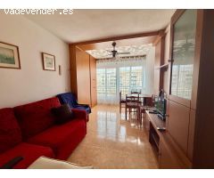 GRAN ESTUDIO EN TORREVIEJA, 1 BAÑO