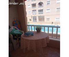 GRAN APARTAMENTO EN TORREVIEJA, 1 HAB, 1 BAÑO