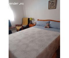 GRAN APARTAMENTO EN TORREVIEJA, 1 HAB, 1 BAÑO
