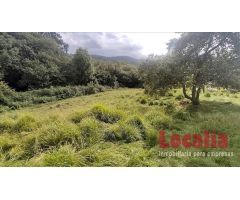 Extenso suelo urbano Limpias, Cantabria