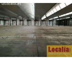 Estupenda nave de 5000 metros con campa. Reocin