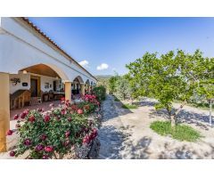 Casa de campo-Masía en Venta en Fiñana Almería 