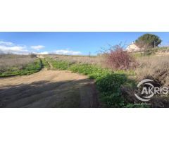 TERRENO URBANO NO CONSOLIDADO EN MENTRIDA