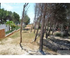 Suelo urbanizable en Venta en Raco De Galeno Alicante