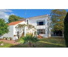 Chalet con piscina, cerca de la playa de Vinaròs en una parcela de 1885 m2. Visítalo!