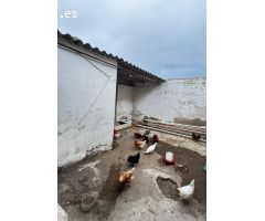Casa en Monovar