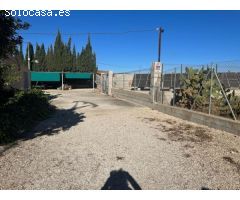 Campo independiente en la zona del Toscar de Monóvar