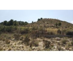 Parcela terreno 10.000