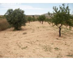 Parcela de 10.000 metros rural