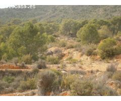Terreno rural en Venta en Monovar - Monover, Alicante