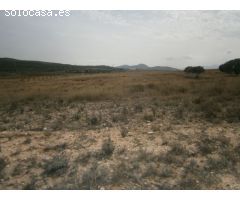 TERRENO BLANCO SIN CULTIVAR
