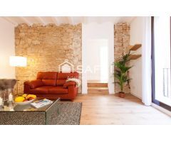 LUMINOSO PISO AMUEBLADO CON 4 BALCONES