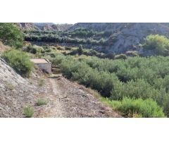 Suelo rústico en Venta en Canjayar Almería
