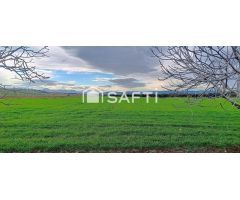 Gran finca de 59.000 m² con vivienda y almacenes
