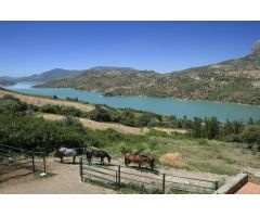 Casa de campo-Masía en Venta en Montecorto Málaga 