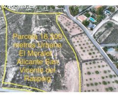 ¡Parcela urbanizable en El Moralet, Alicante: 16.200 m² para tu proyecto ideal!